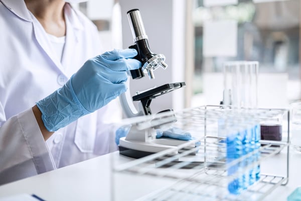 151 Millions : L’Héritage Colossal de Patrick Solvay – Du Chimique au Golf