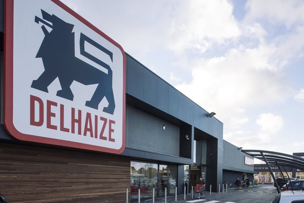 Famille Delhaize : Un Empire de Supermarchés avec un Patrimoine de Plus de 278 Millions d’Euros