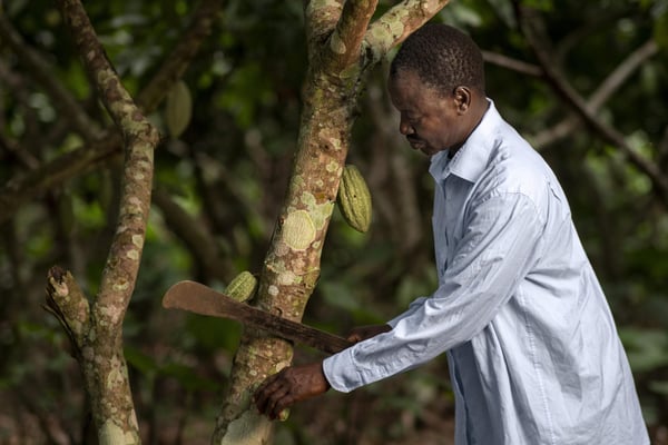 La Dynastie Fabri: Une Influence Majeure et Controversée avec une Fortune de 350 Millions d’Euros