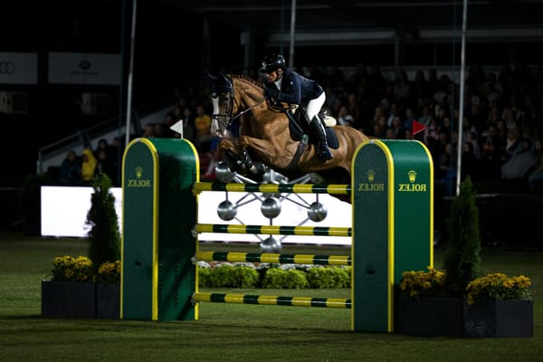Stephan Conter: van paardenhandelaar tot paardenimperium van 77 miljoen euro