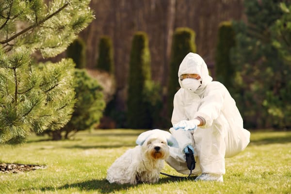 Familie Brutsaert: pioniers in de agrovoedingsindustrie met een fortuin van €51m