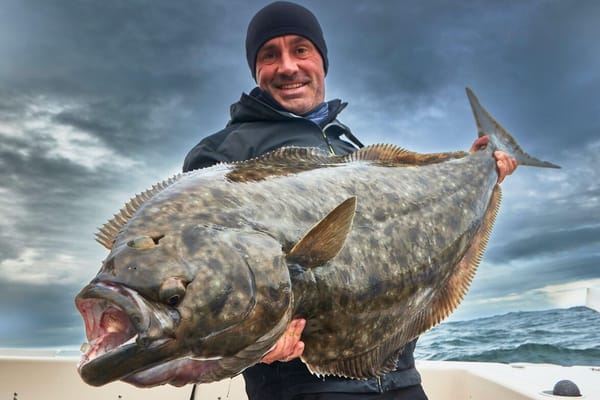 Achter de schermen van het fortuin van Cyril Chauquet: 3,2 miljoen euro verdiend door zijn passie na te jagen