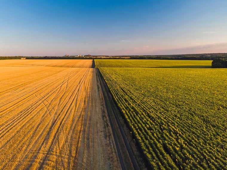 Michel Delbaere: Architect of a €96 million agri-food empire in Belgium
