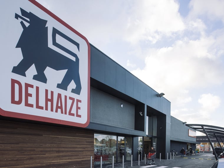 Delhaize Family: A Supermarket Empire with Assets of Over 278 Million Euros