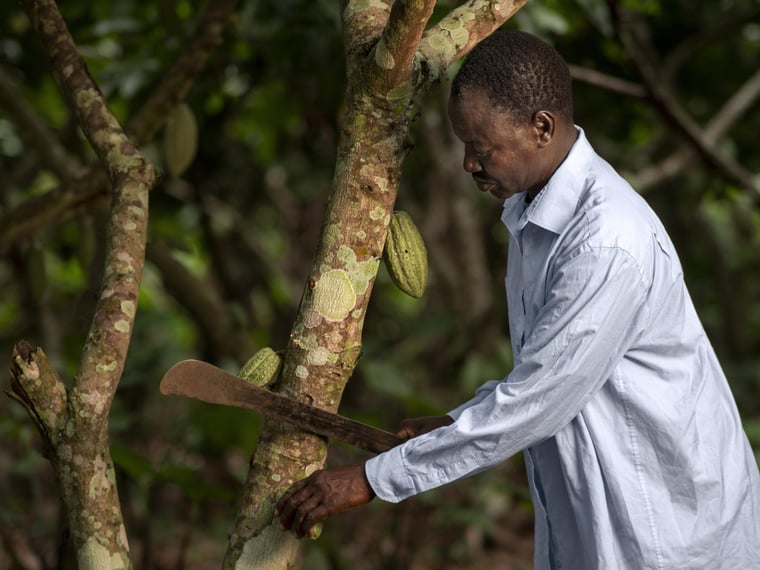 The Fabri Dynasty: A Major and Controversial Influence with a Fortune of 350 Million Euros