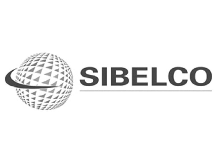 Fortune de la famille Christyn de Ribaucourt en 2026