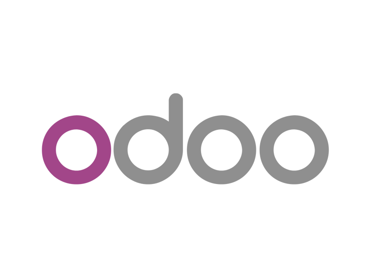 Fabien Pinckaers: Odoo's meteoric rise to 4 billion euros
