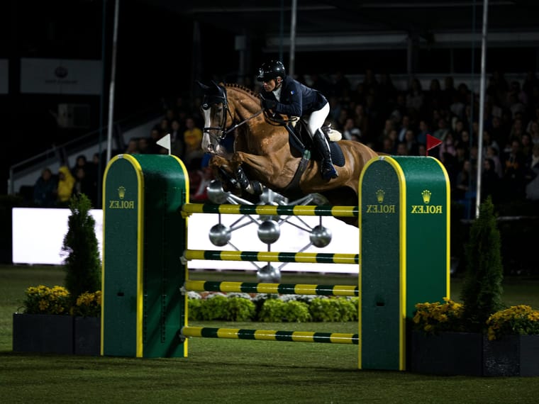 Stephan Conter: From Horse Trader to 77 Million Euro Equestrian Empire