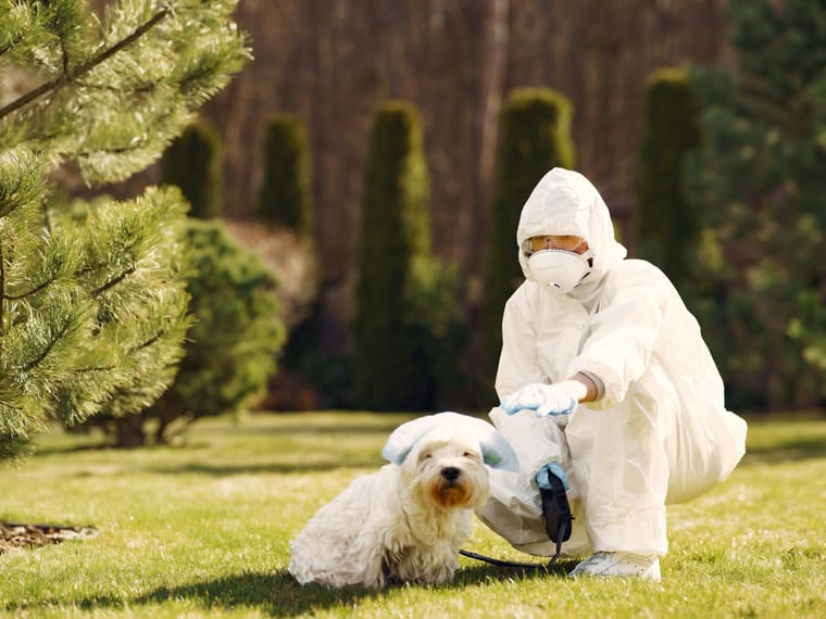 Famille Brutsaert : Pionniers de l’Agroalimentaire avec une Fortune de 51M€