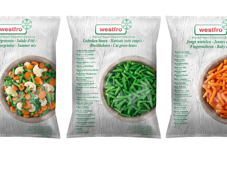 Michel Dick: The Visionary Behind Westfro and a Fortune of 55 Million Euros