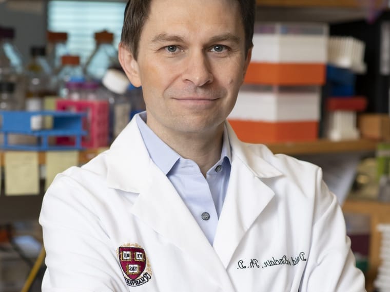 Dr. David Sinclair's Daily Routine in 2026: Supplements, Mindset and Secrets of a Longer Life