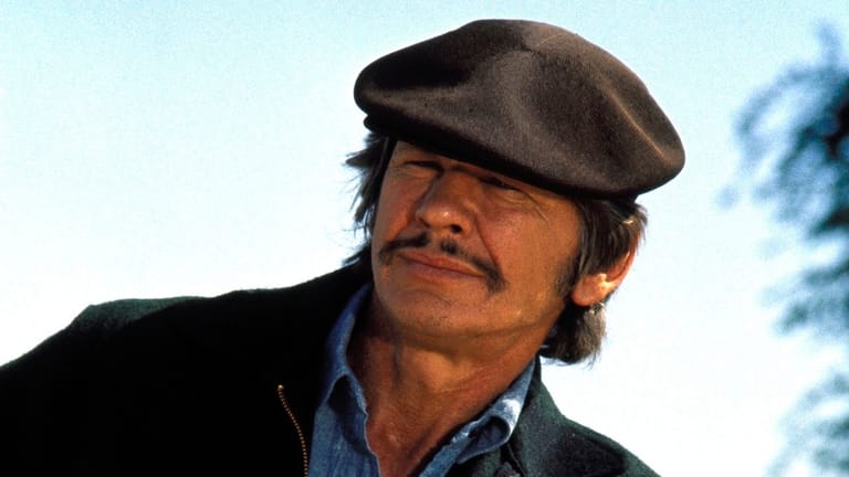 Vermögen Von Charles Bronson In 2025 : Der Extremschauspieler, Der Ein Imperium Aufgebaut Hat